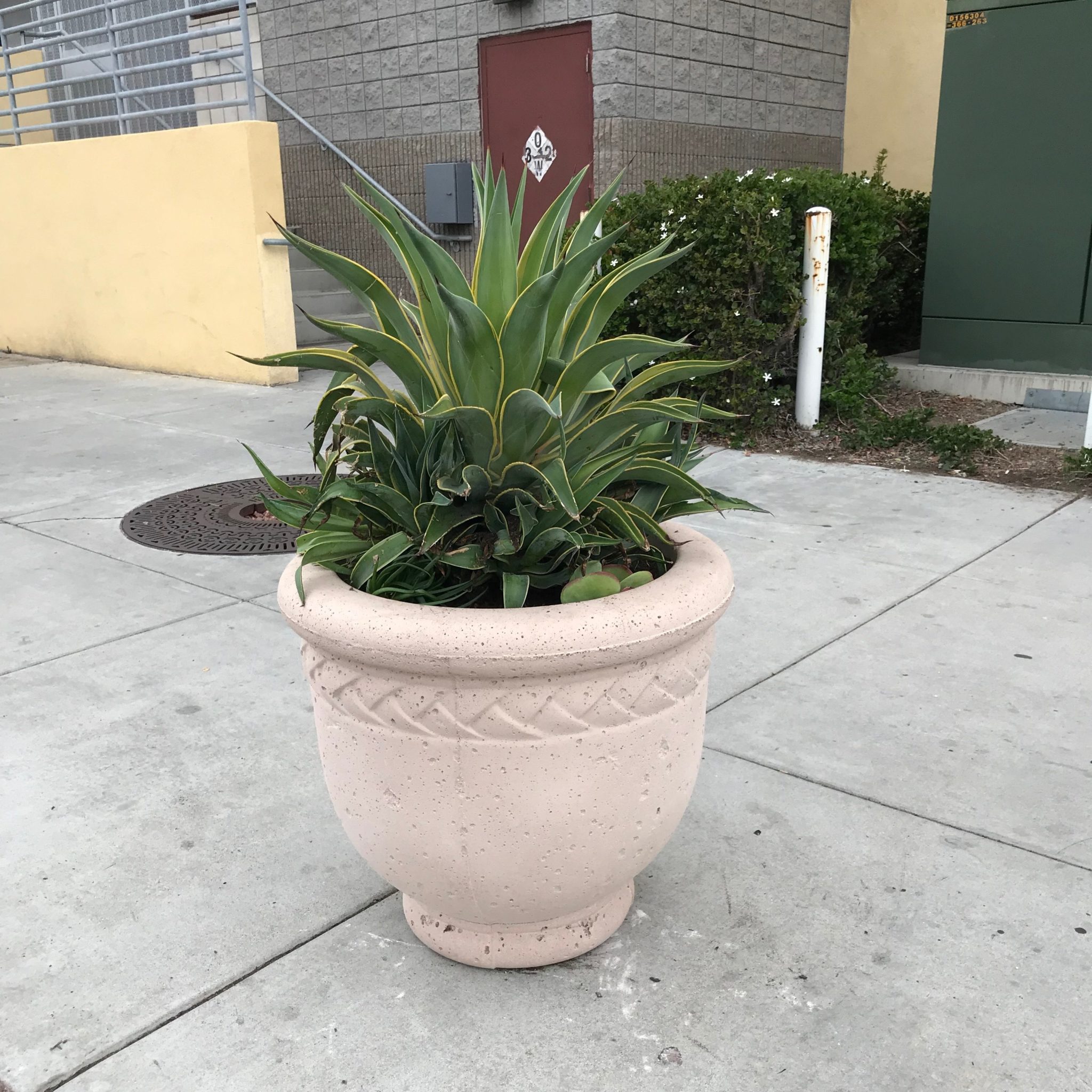 Sidewalk planter