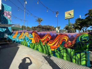 Colorful mural art featuring a woman, birds, and tropical plants