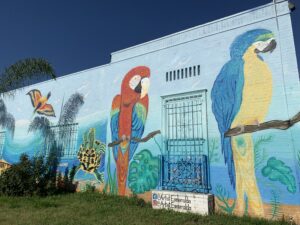 Colorful urban wall mural featuring parrots and sea creatures.